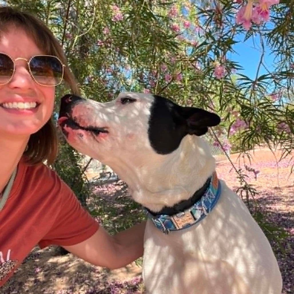 a dog kissing a woman's cheek